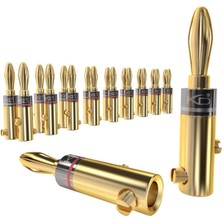 – Muz Fiş-10 Çift (6 Mm²'ye Kadar Hoparlör Kablosu Için Muz Fiş Bağlantısı, Hifi Kutusu, Amplifikatör/güç Amplifikatörü, Alıcı/stereo Sistem Esnek Bağlantısı, Vidalanabilir, Altın Kaplama)
