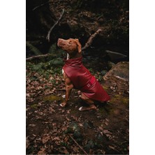 Bordo Köpek Yağmurluğu, Şık ve Kullanışlı, Su Geçirmez Köpek Kıyafeti.