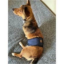 Lacivert Yıkanabilir Köpek Içi Bel Bandı, Rahat ve Pratik Üst Giyim