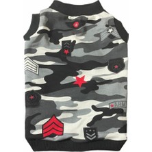 Siyah Köpek ve Kedi Iç Giyim, Rahat ve Şık Tasarım