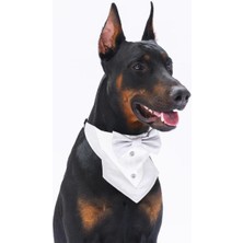 Gri Pet Bandanası Köpek ve Kedi Için Renkli ve Şık Takım