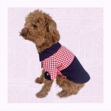 Çok Renkli Yazlık Köpek ve Kedi Gömleği, Rahat ve Şık Üst Giyim Seçeneği