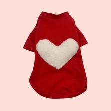 Köpekler Için Kırmızı Rahat Tişört, Sevgililer Günü Teması