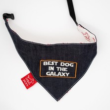 Mavi Köpek Bandana, Şıklık ve Rahatlık Sunar, Güzel Tasarım