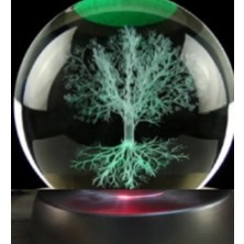 Ağaç Plastik Altlıklı Cam Küre ( Lisinya )