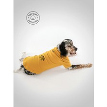 Sarı Köpek Sweatshirt, Rahat ve Şık Köpek Kıyafeti, Üst Giyim