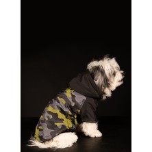 Renkli Köpek ve Kedi Yağmurluk Xxl, Şık ve Kullanışlı Dış Giyim