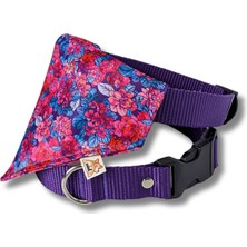 Mor Renkli Şık Köpek Boyun Tasması, Rahat ve Şık Tasarım.