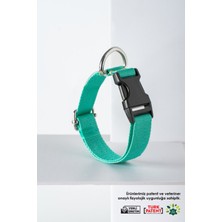 Yeşil Ayarlanabilir Sağlam Köpek Boyun Tasması, Konforlu ve Dayanıklı Tasarım