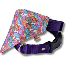 Renkli ve Şık Köpek Boyun Tasması, Rahat ve Kullanışlı Tasarım.