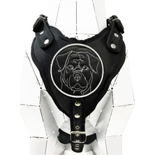 Siyah Rottweiler Köpek Göğüs Tasması Güvenli ve Rahat Kullanım