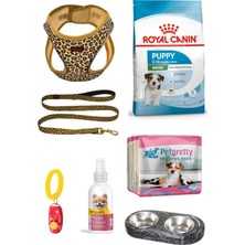 Yavru Köpek Eğitim Seti 7 Parça Renkli Tasmalı Başlangıç Pack