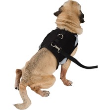 Nefes Alan Köpek Göğüs ve Boyun Tasması Seti, Reflektörlü, Rahat ve Şık Siyah Renk