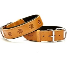 Kahverengi Deri Pati Desenli Küçük Köpek Boyun Tasması, 4X47-55 cm