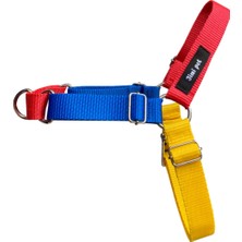 Sarı Köpek Göğüs Tasması, Rahat ve Güvenli Çekişli Tasma