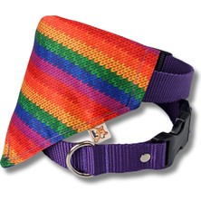 Renkli Köpek Boyun Tasması, Şık ve Rahat, Çok Renkli, Pet Ürünleri