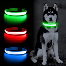 Işıklı Çok Fonksiyonlu Mavi Köpek Boyun Tasması