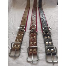 Altın Renkli Büyük Köpek Tasması, 72 cm Boy ve 4 cm En, Dayanıklı ve Şık Tasarım