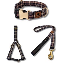 Çok Renkli Köpek Tasma Seti, Şık ve Rahat Boyun Tasması, Çok Renkli Tasarım