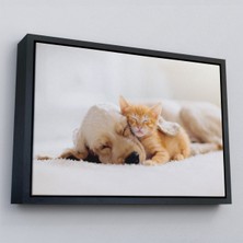 Çerçeveli Golden Köpek Ile Uyuyan Yavru Kedi Dekoratif Kanvas TABLO-1176