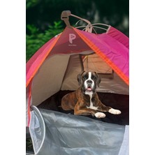 Renkli ve Konforlu Evcil Hayvan Çadırı, Patili Dostlarınız Için Ideal Alan!