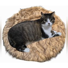 Kahverengi Çok Amaçlı Yumuşak Yastık Yatak, Evcil Hayvanlar Için Rahat ve Şık