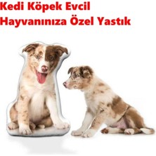 Kişiye Özel Çok Renkli Evcil Hayvan Yastığı, Yüksek Konforlu ve Şık Tasarım