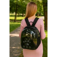 Turuncu Şeffaf Taşıma Çantası, Evcil Hayvanlar Için Konforlu ve Şık Tasarım