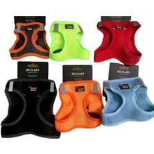 Çok Renkli Göğüs Tasması Xlsiğne ve Kedi Için Rahat ve Şık Tasarım