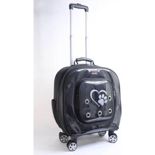 Küçük Siyah Taşıma Çantası, Fileli ve Hafif, Evcil Hayvanlar Için Rahat Taşıma