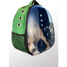 Yeşil Deri Kedi Taşıma Çantası, El ve Sırt Çantası, 6 Hava Kanalı