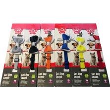 Çok Renkli Kedi ve Köpek Tasmasıyla Şık ve Rahat Taşıma Keyfi