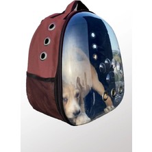 Bordo Deri Hayvan Taşıma Çantası, Hava Kanallı, Sırt ve El Taşıma Seçeneği