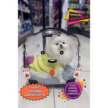 Turuncu Şeffaf Tekerlekli Evcil Hayvan Taşıma Çantası, Hafif ve Pratik Kullanım.