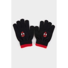DeFacto Marvel Spiderman Triko Eldiven Erkek Çocuk X9305A625WN