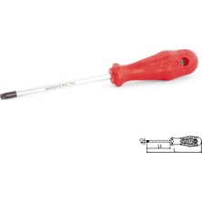 Izeltaş 4776 18 0010 TR10 Delikli Torx Uçlu Tornavida