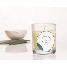 Mitr Papatya Kokulu Bardak Mum