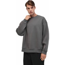 Lumberjack MB ROS 16HS108 5PR Gri Erkek Sweatshirt