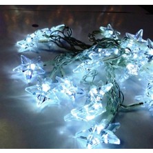 Yılbaşı LED Işık Yıldız Ip LED 2 mt Fişli Beyaz