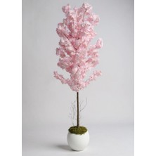 Yapay Ağaç Japon Kiraz Çiçeği Bahardalı Ağacı Beyaz Küre Saksıda Pembe Koyu Renkli 160CM