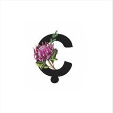 Zero Mtxdpn Harf Figürlü Kaktüs Sukulent Saksısı-Ç