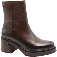 Venüs Kadın Bot 2552501K