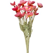 Pembe Gelincik Demeti 5'li