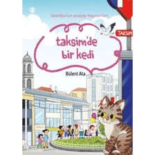 Istanbul'un Acayip Hayvanları Taksimde Bir Kedi