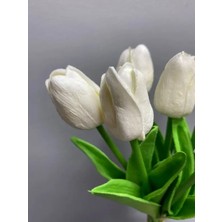 10 Adet Beyaz Renk Lale Soğanı