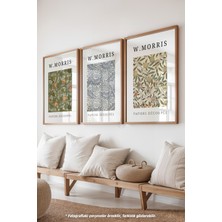 Morris 3'lü Ahşap Çerçeveli Poster, Tablo Seti No:5