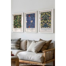 Morris 3'lü Beyaz Çerçeveli Poster, Tablo Seti No:45