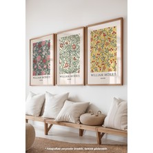 William Morris 3'lü Ahşap Çerçeveli Poster, Tablo Seti No:47