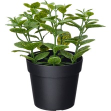 Yapay Bitki, Yeşil, 9 Cm, Nane, Iç/dış Mekan