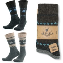 Gowith 2 Çift Alpaka Yünlü Termal Yıkamalı Doğal Kar Desen Kışlık Kadın Erkek Çorap 3097